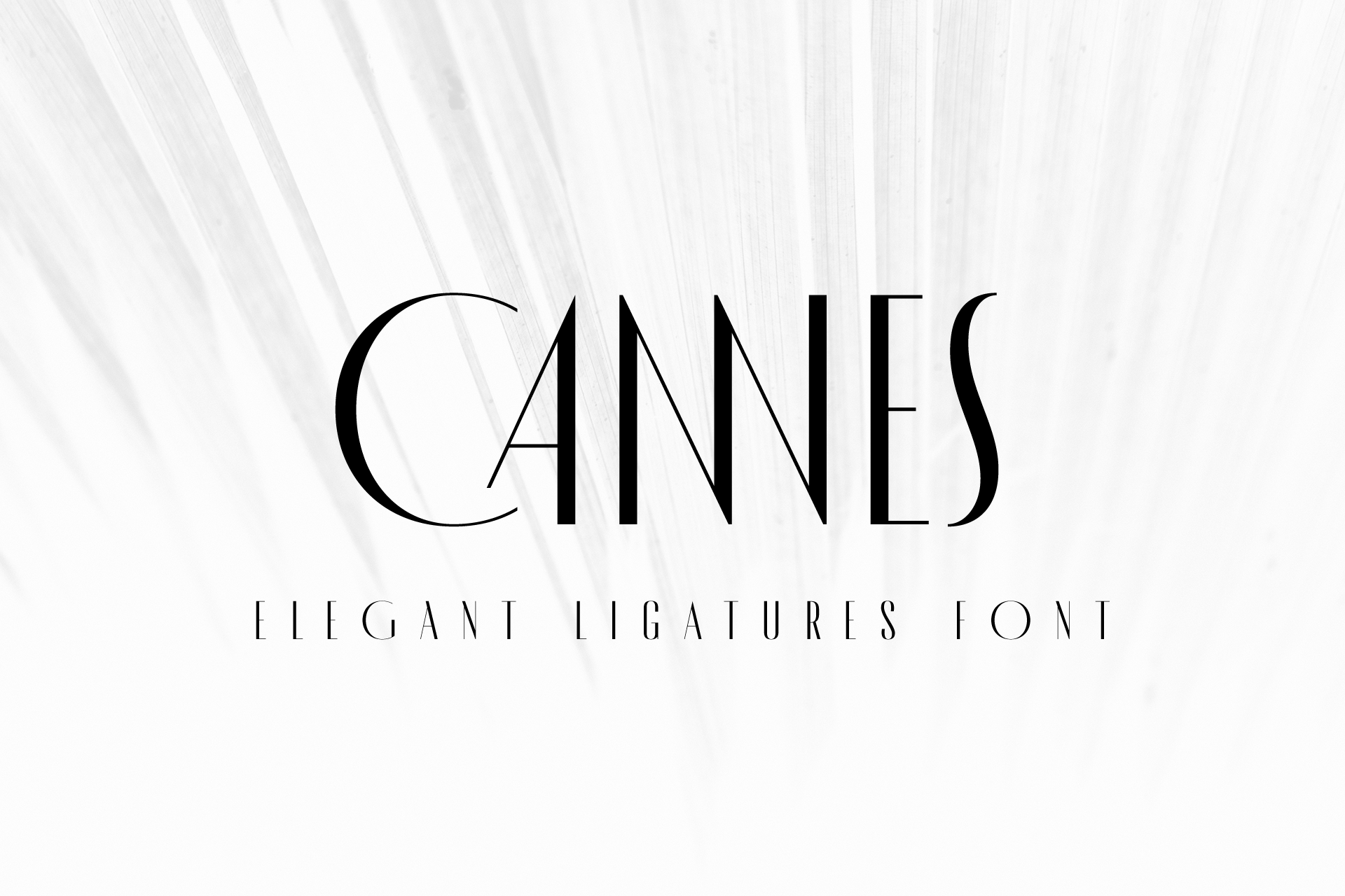 Font MADE Cannes