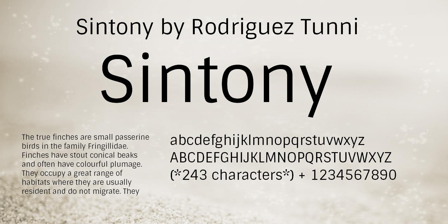 Font Sintony