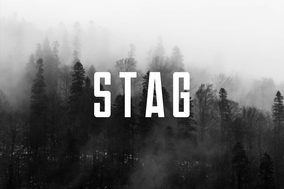 Font Stag