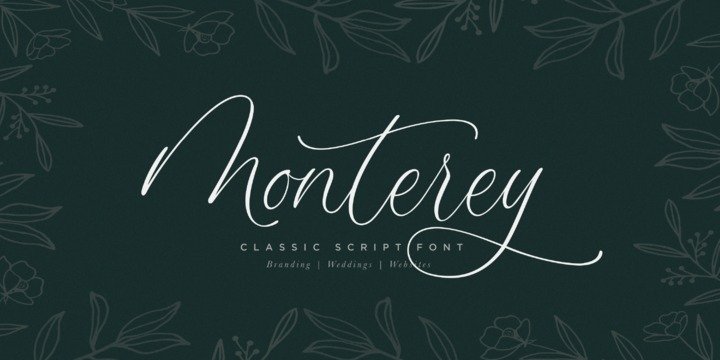 Font Monterey Script