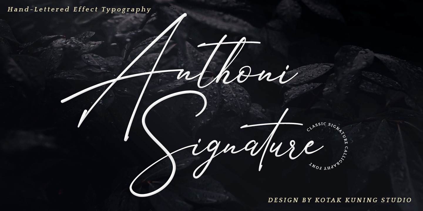 Font Anthoni Signature