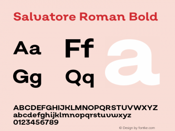 Font Salvatore Roman
