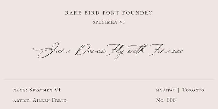 Font Rare Bird Specimen VI