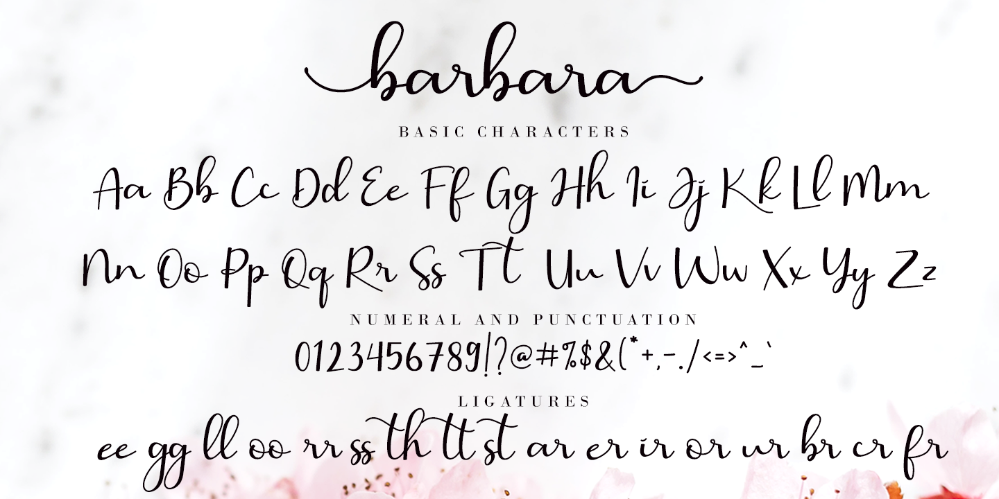 Font Barbara Calligraphy – Download and Install for Your Website