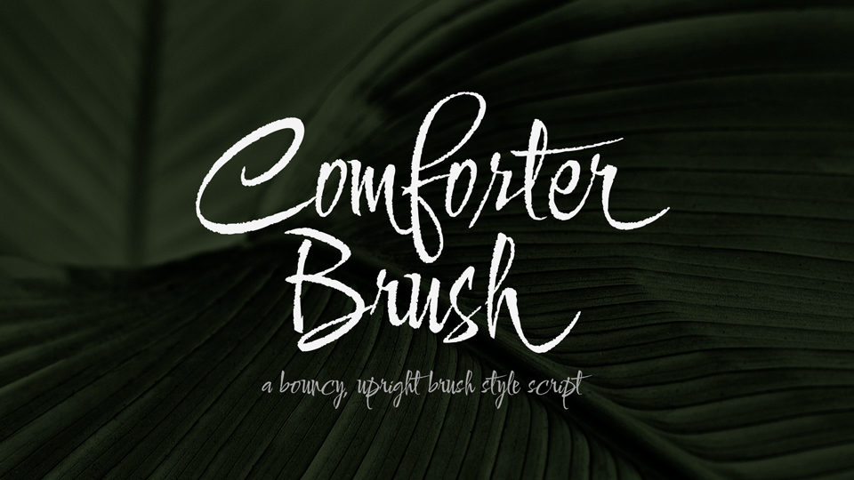 Font Comforter Brush