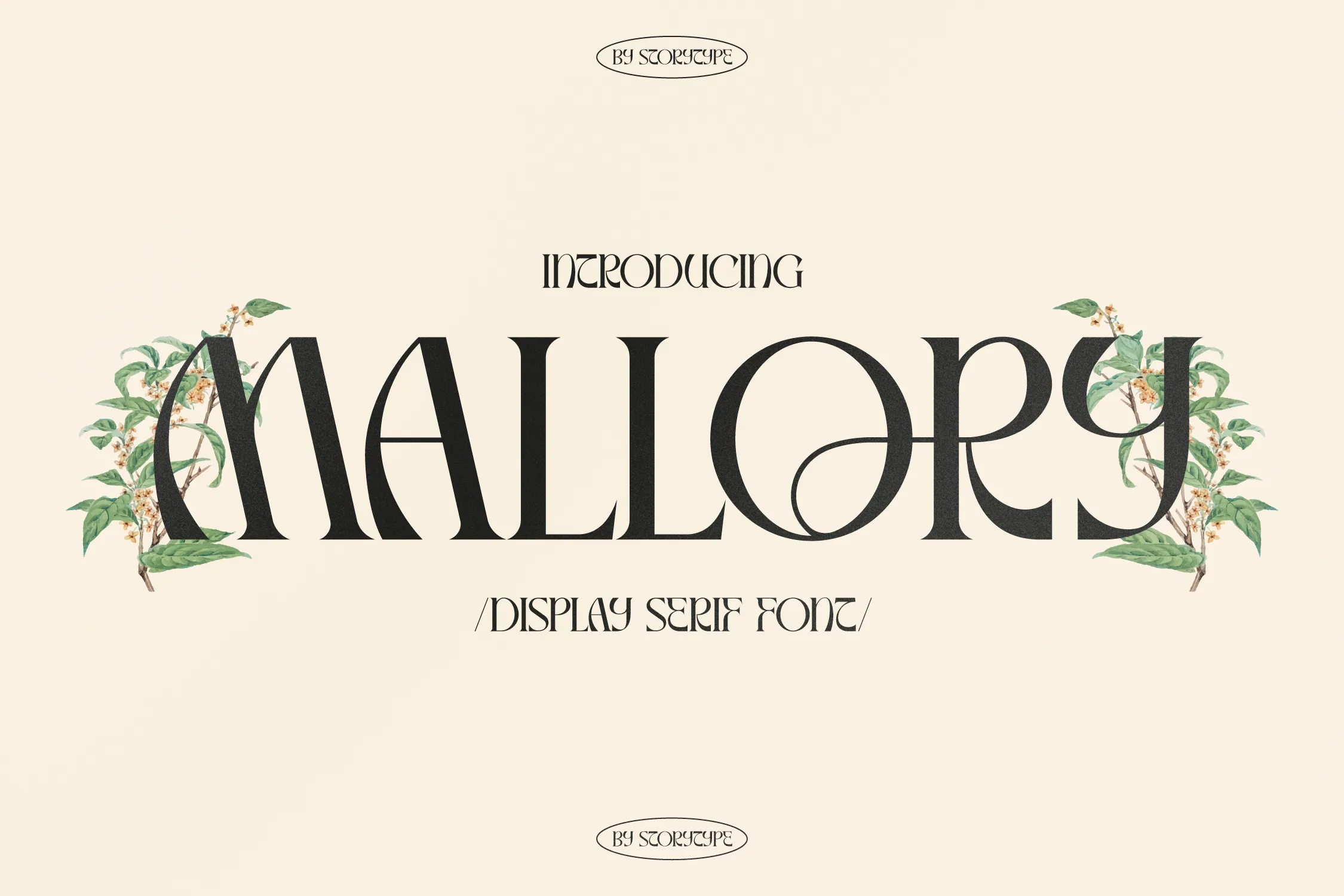 Font Mallory Display Serif