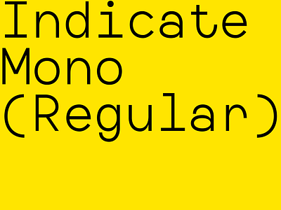 Font Indicate Mono