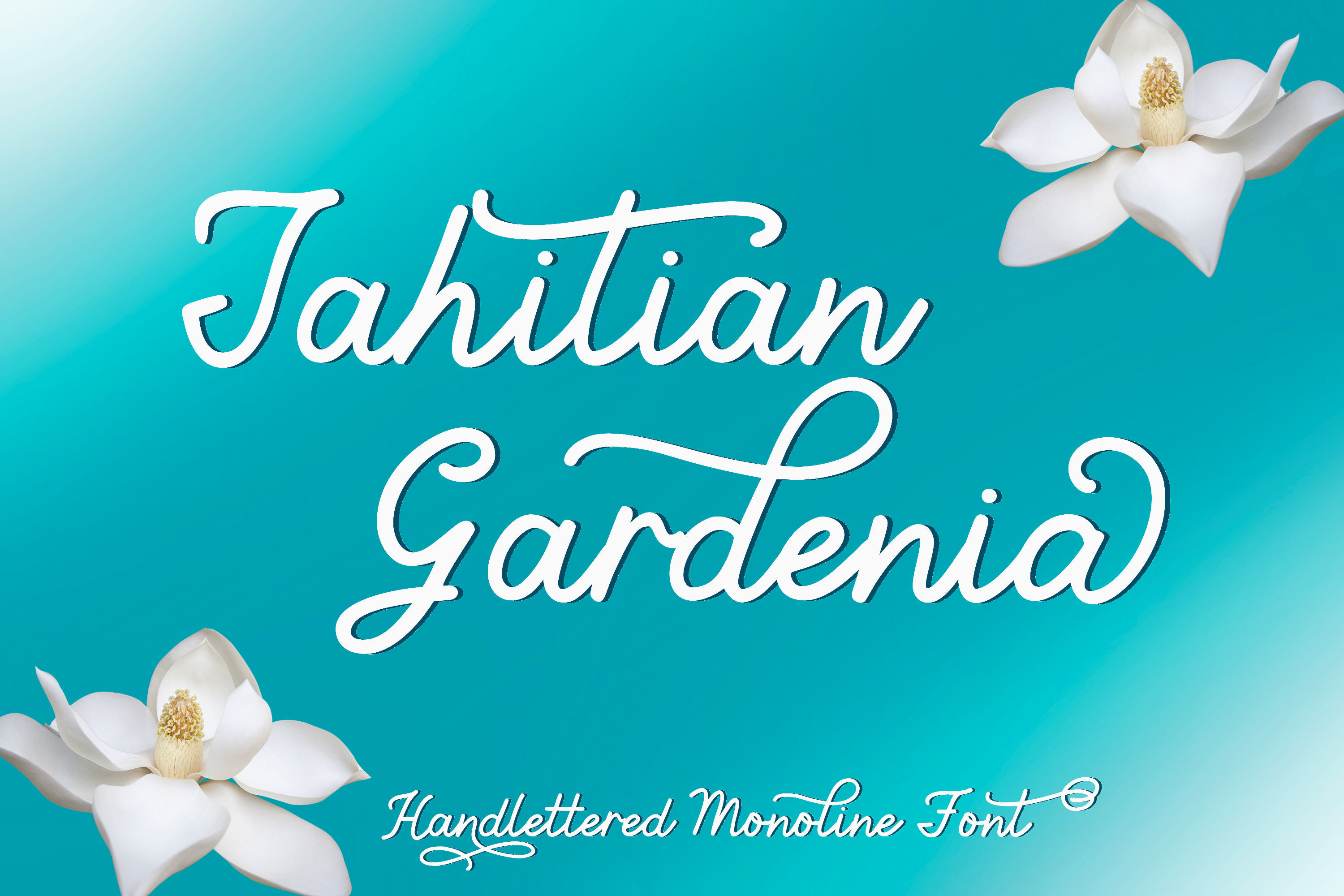 Font Tahitian Gardenia