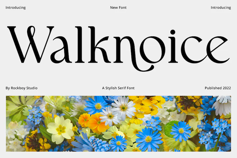 Font Walknoice