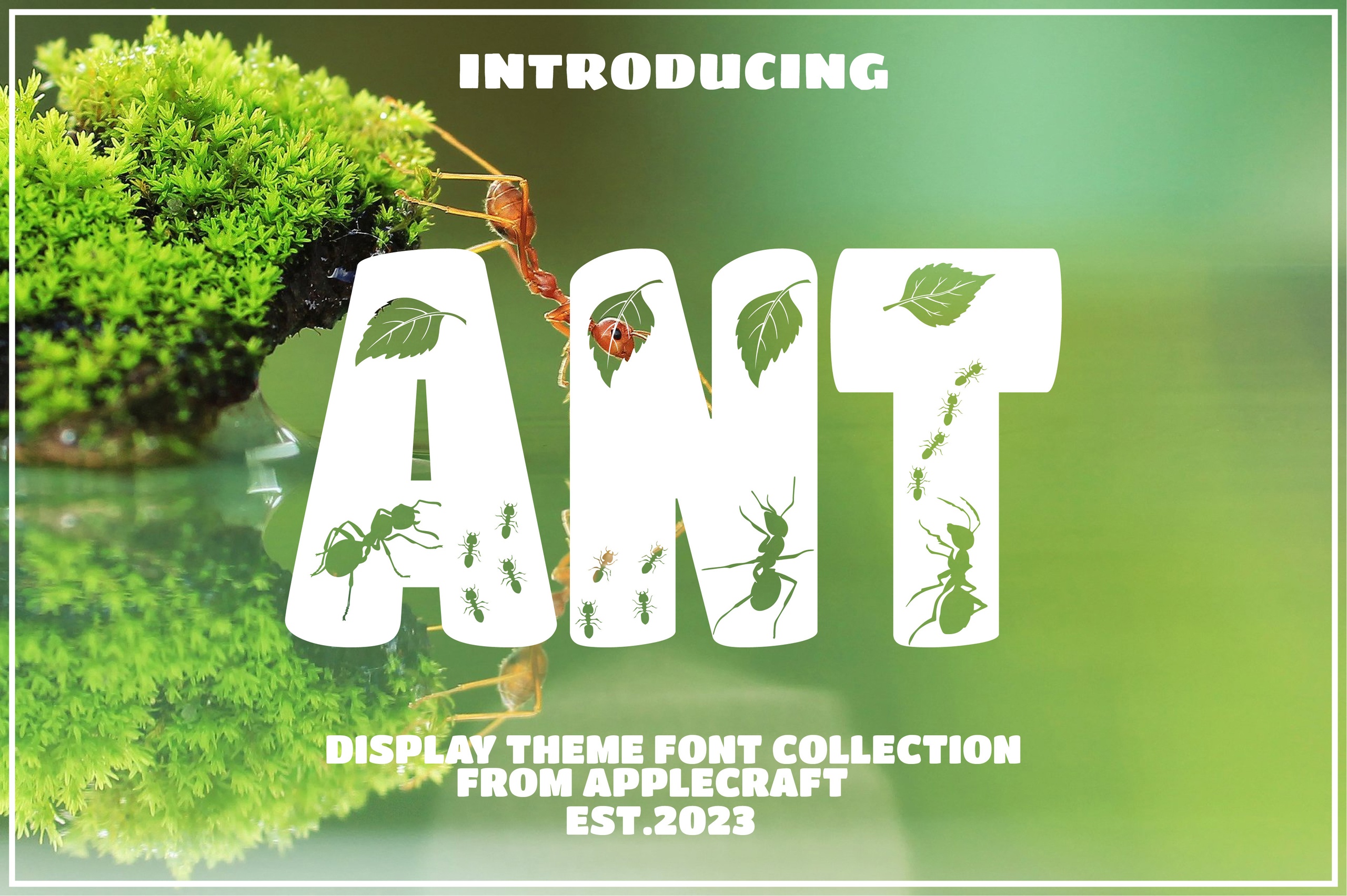 Font Ant