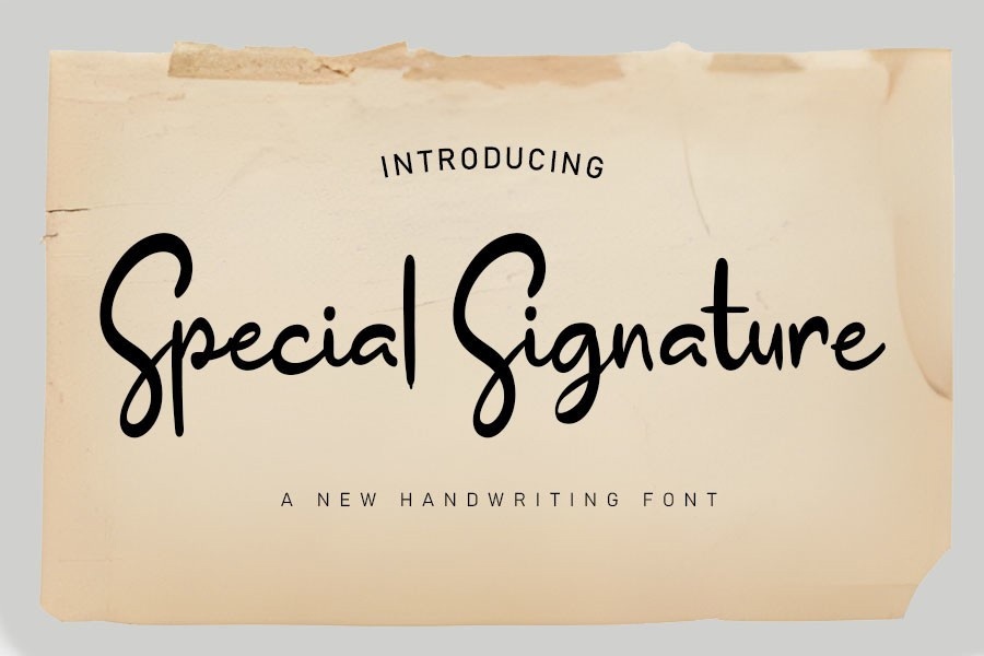Font Special Signatur