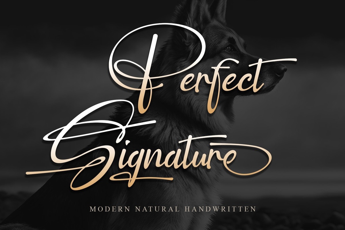 Font Perfect Signature