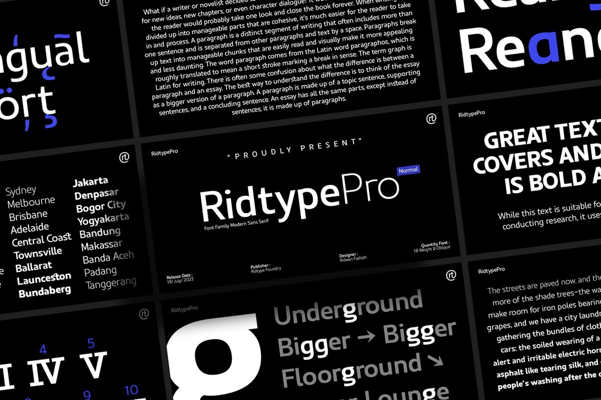 Font Ridtype Pro