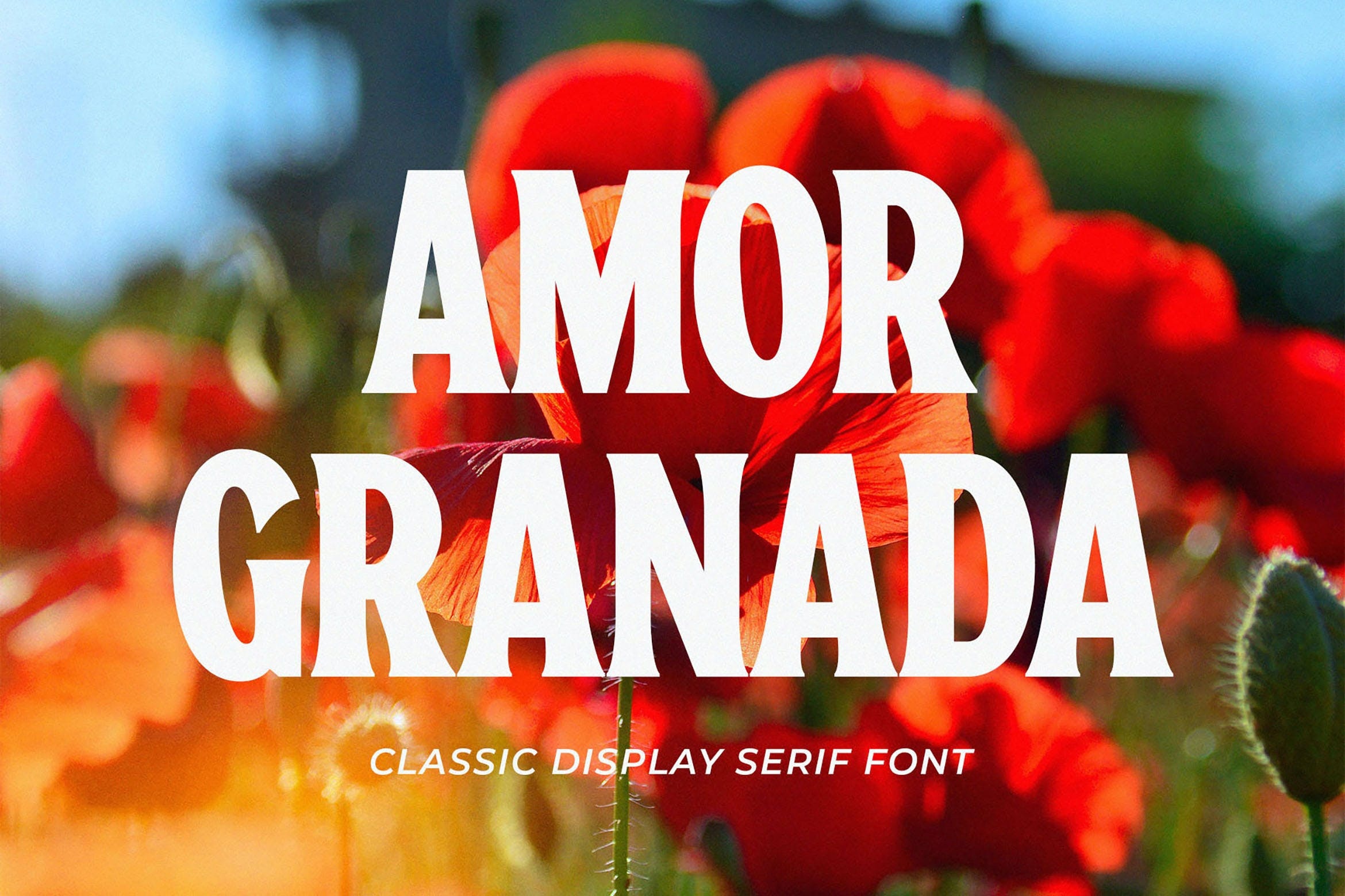 Font Amor Granada
