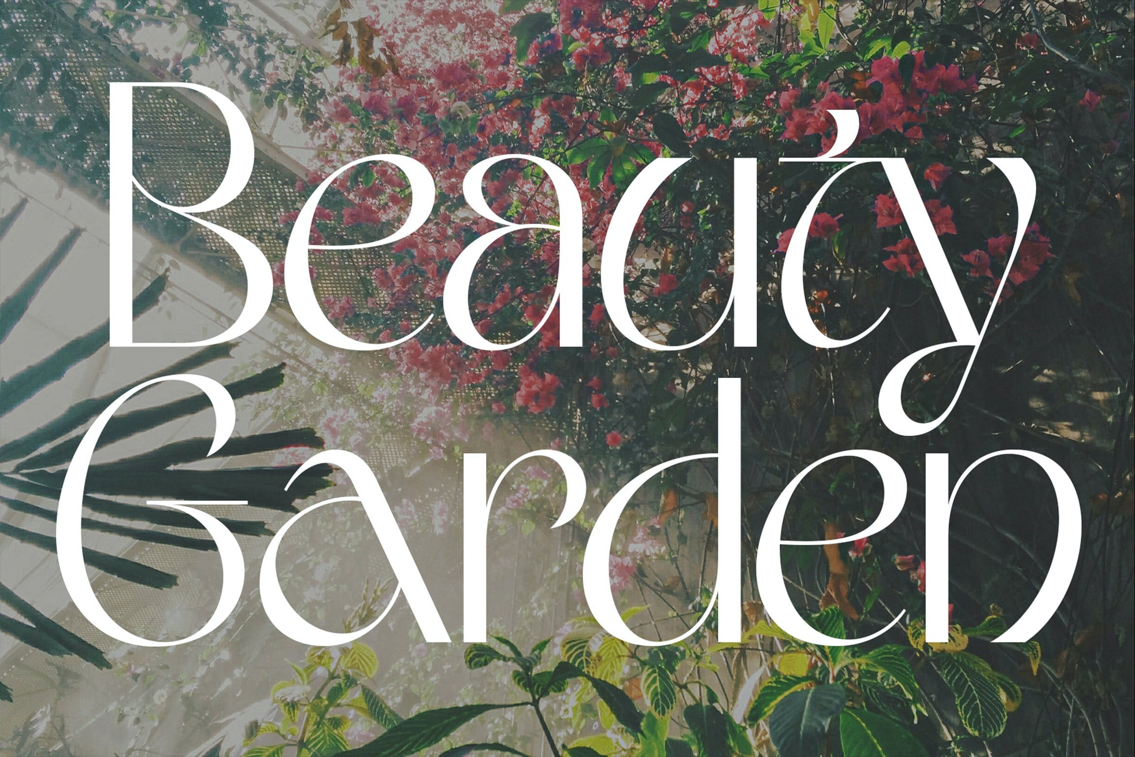 Font Beauty Garden
