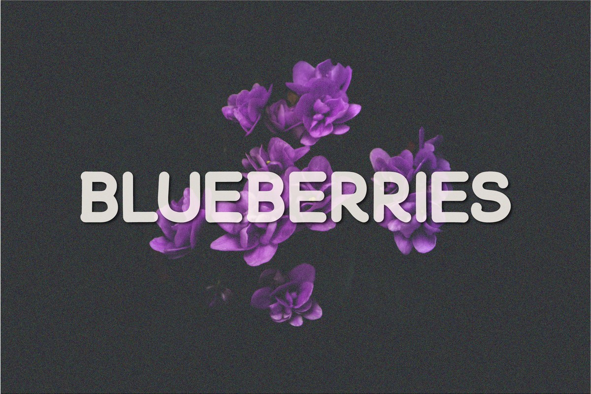 Font Blueberries