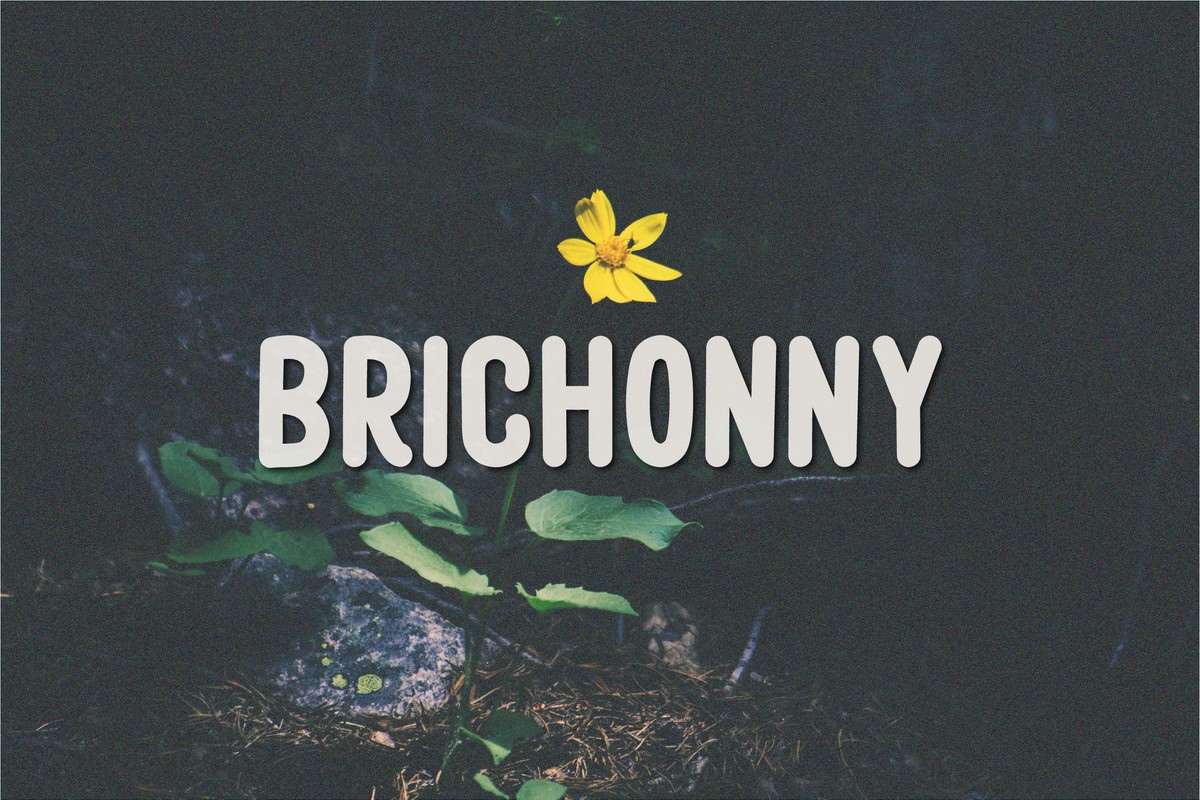 Font Brichonny
