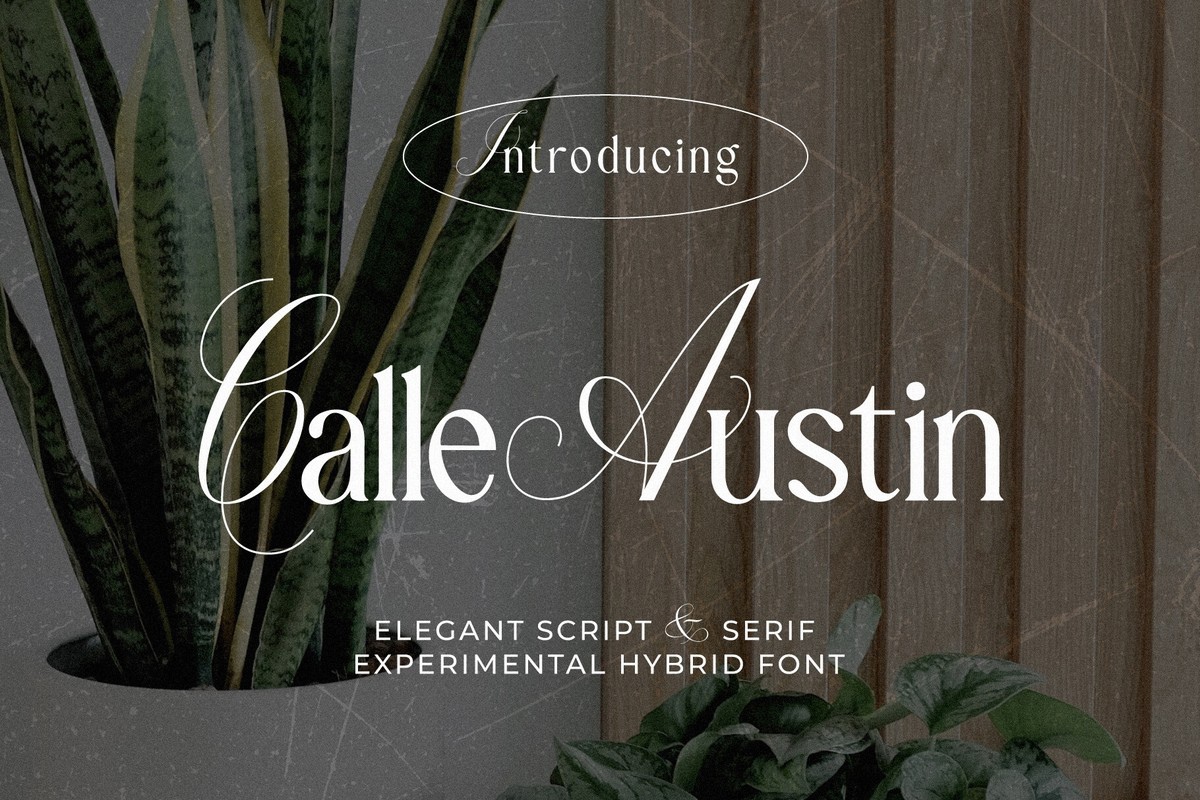 Font Calle Austin