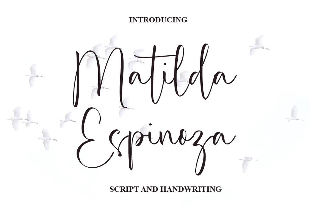 Font Matilda Espinoza