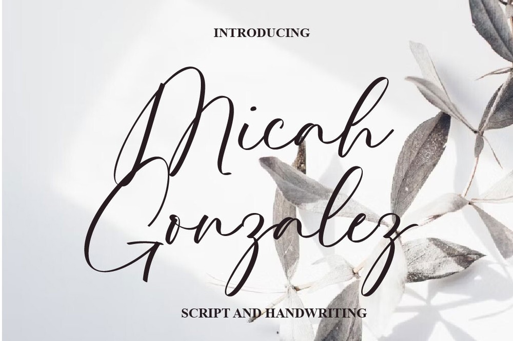 Font Micah Gonzalez