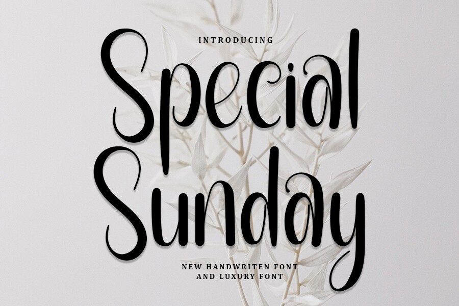 Font Special Sunday