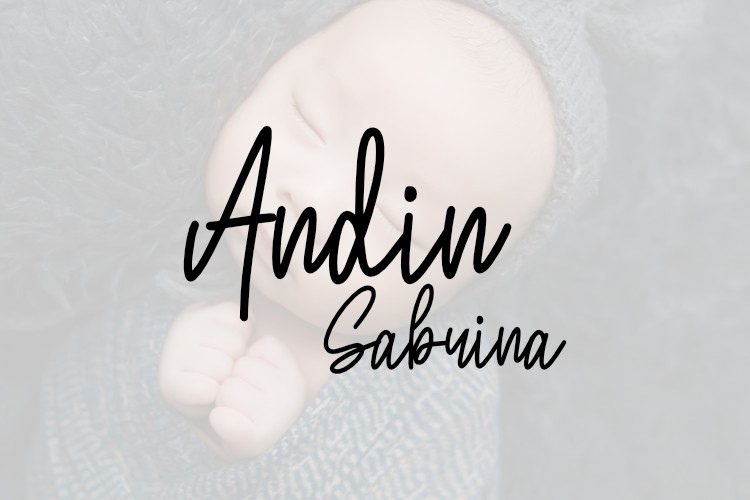 Font Andin Sabrina