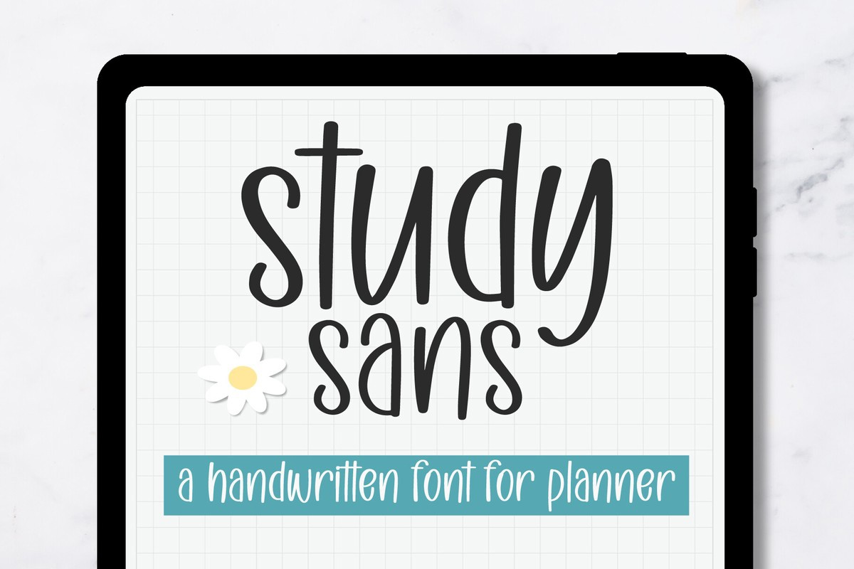 Font Study Sans: download and install on the WEB site