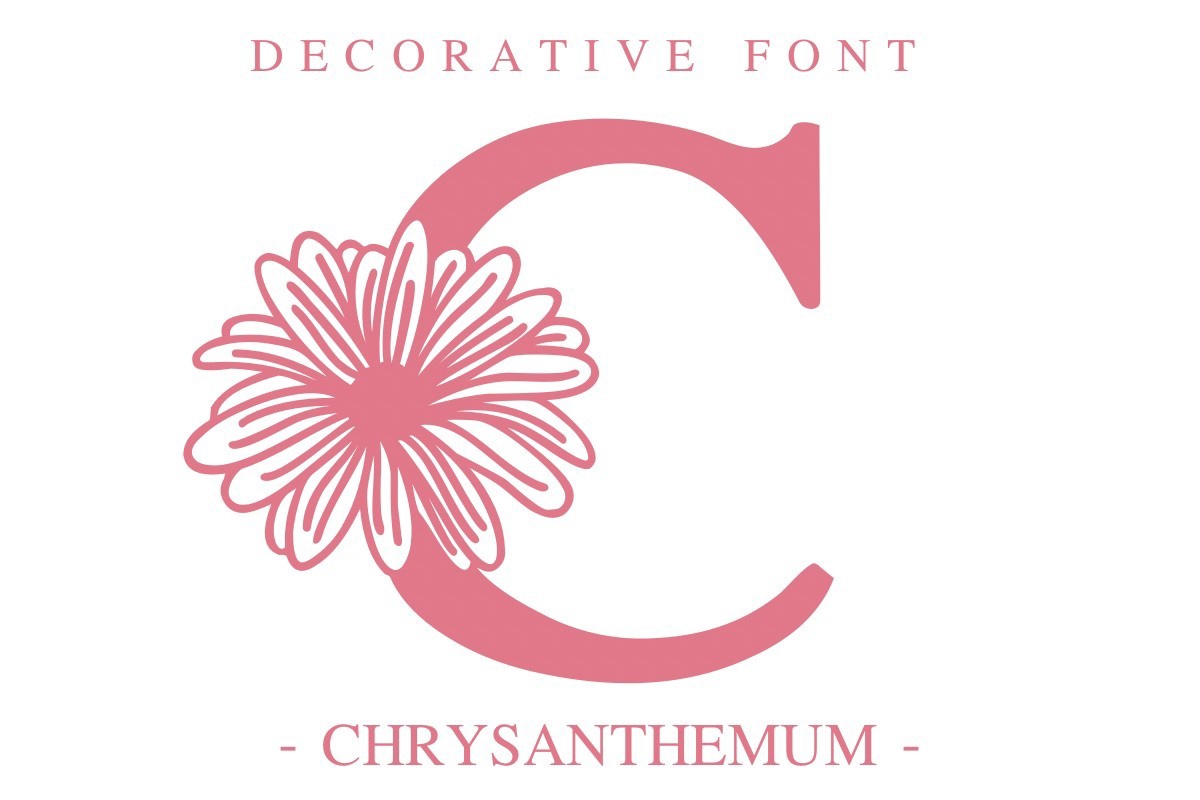 Chrysanthemum