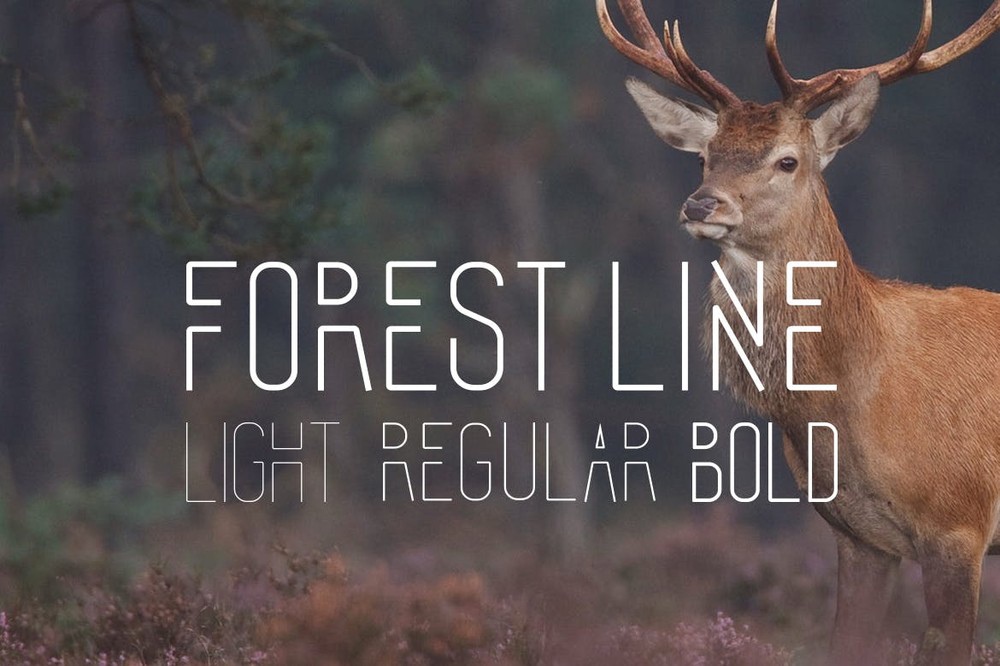 Font Forest Line