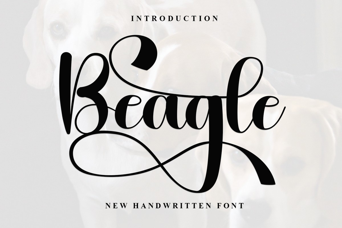 Font Beagle