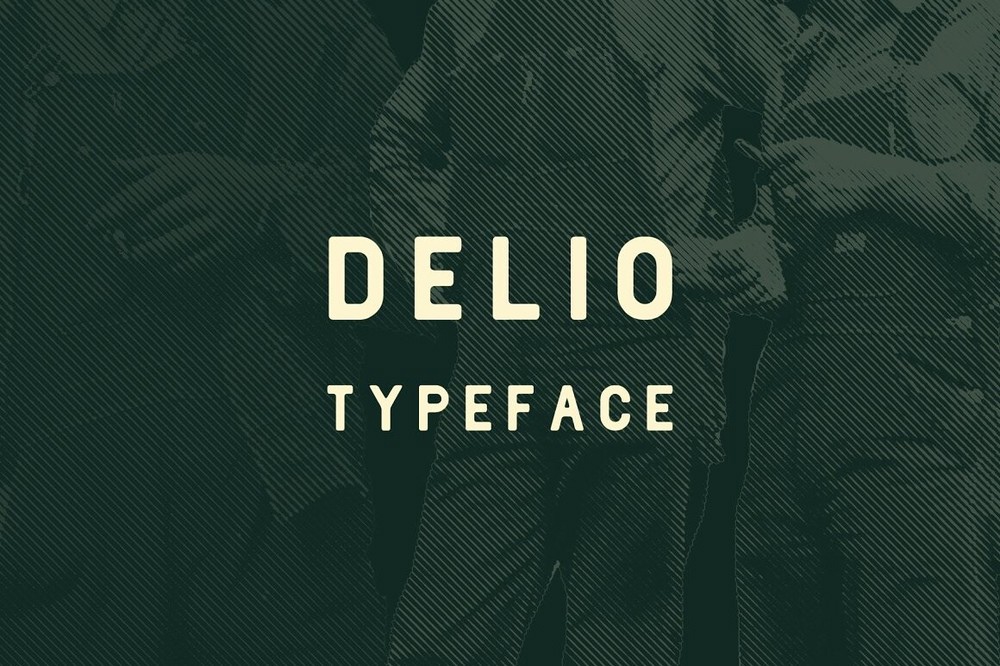 Font Delio