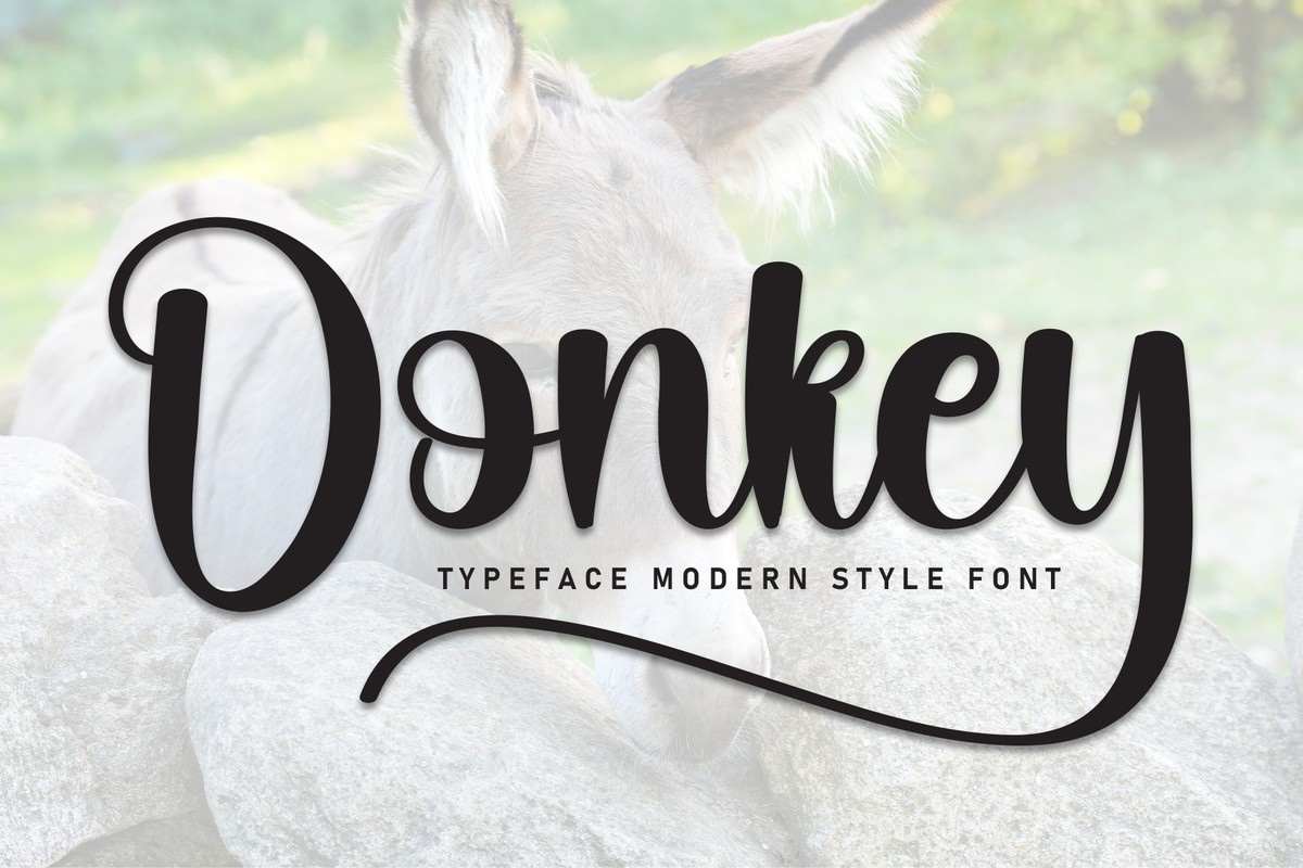 Font Donkey