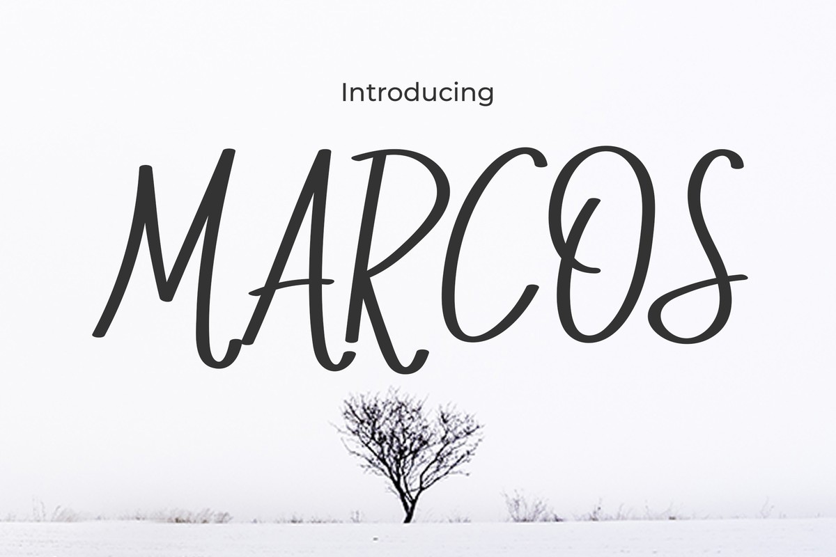 Font Marcos