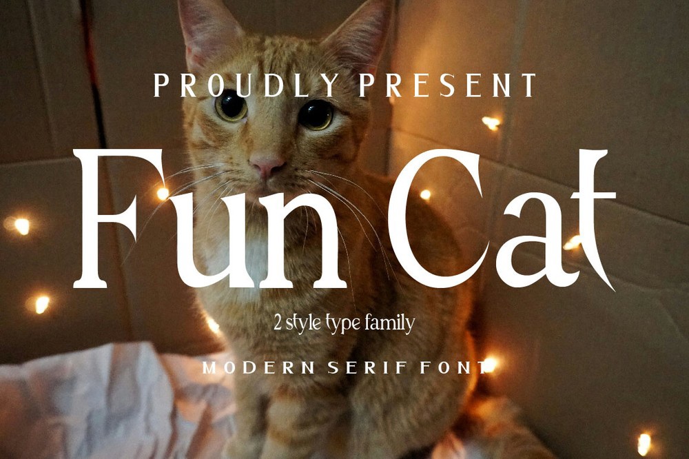 Fun Cat