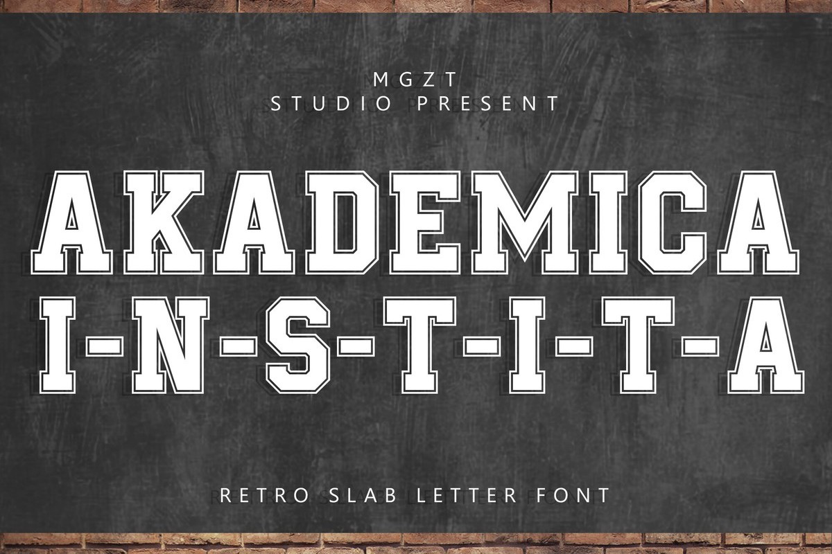 Font Akademica Instita