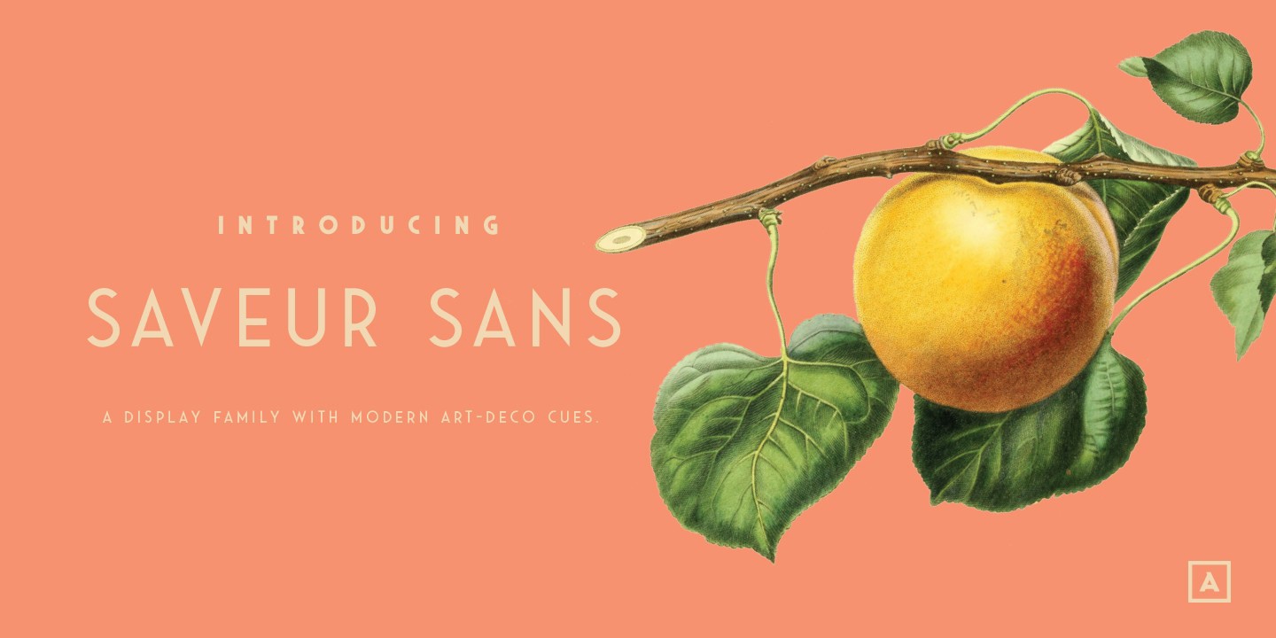 Font Saveur Sans