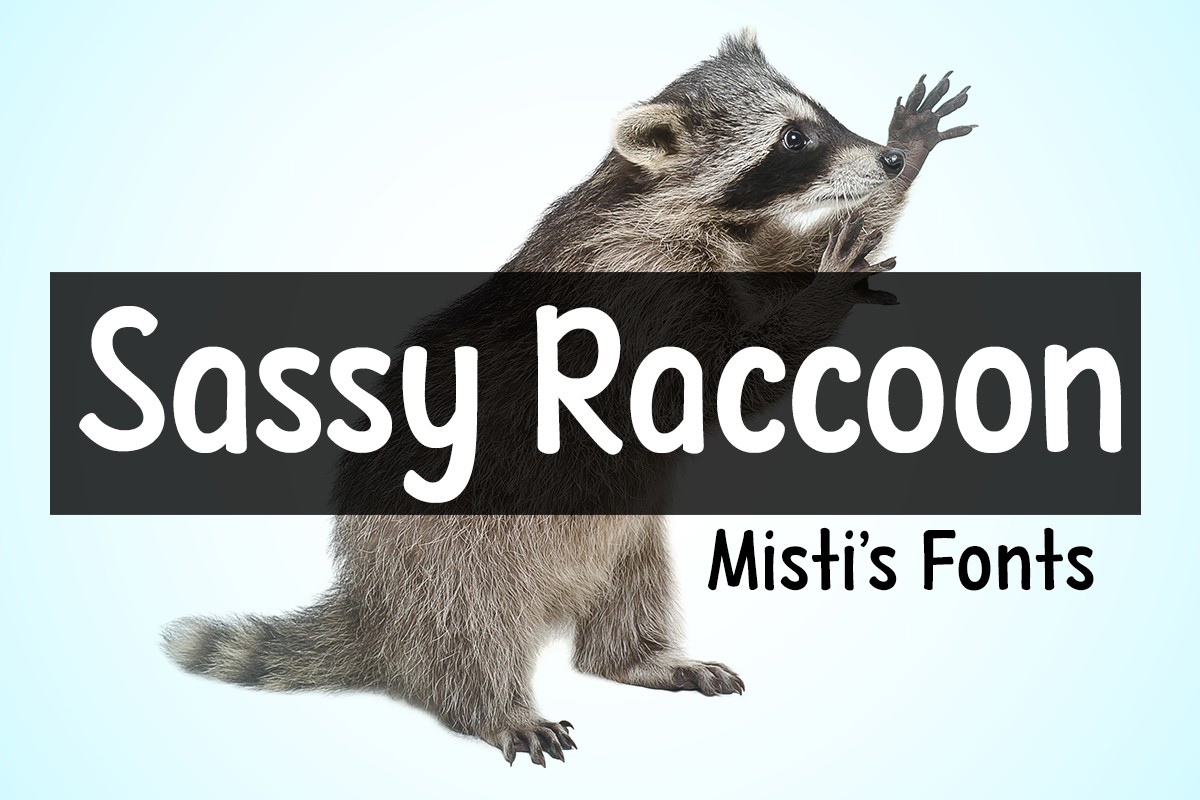 Sassy Raccoon