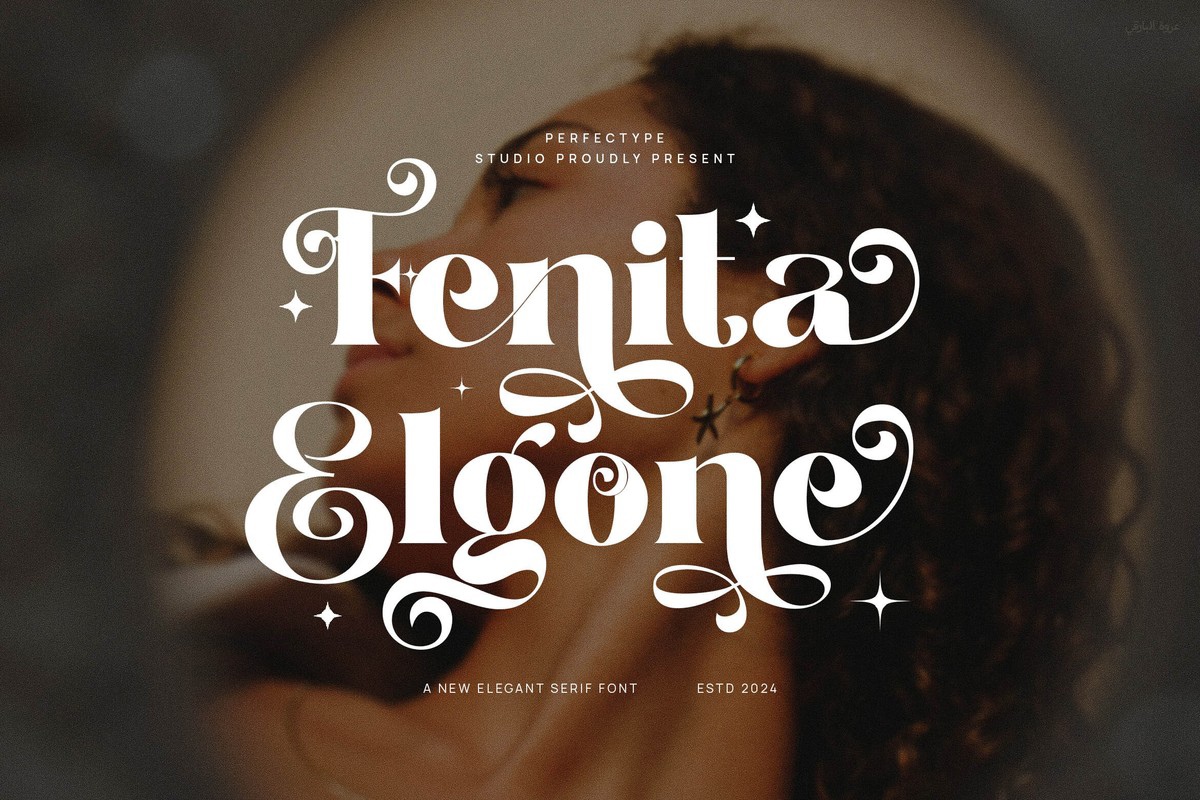 Font Fenita Elgone