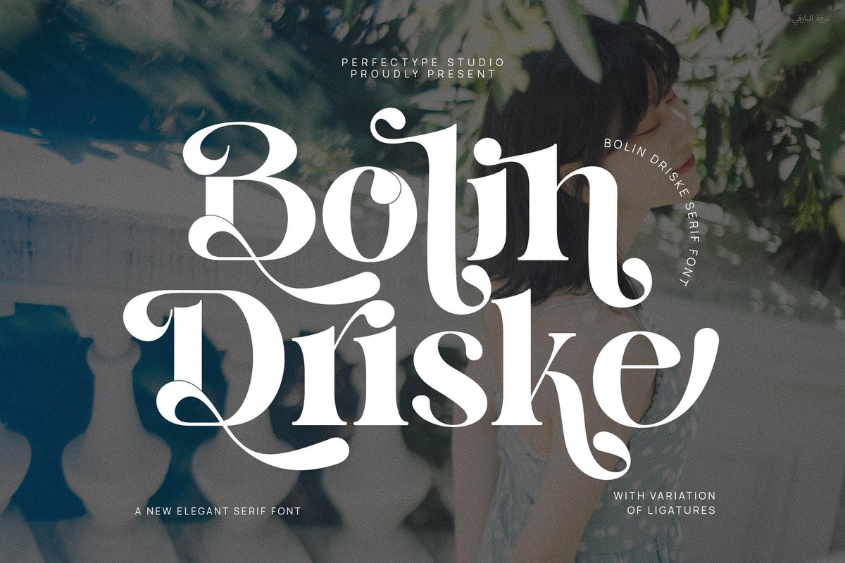 Font Bolin Driske